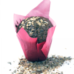 Muffin muesli et dattes