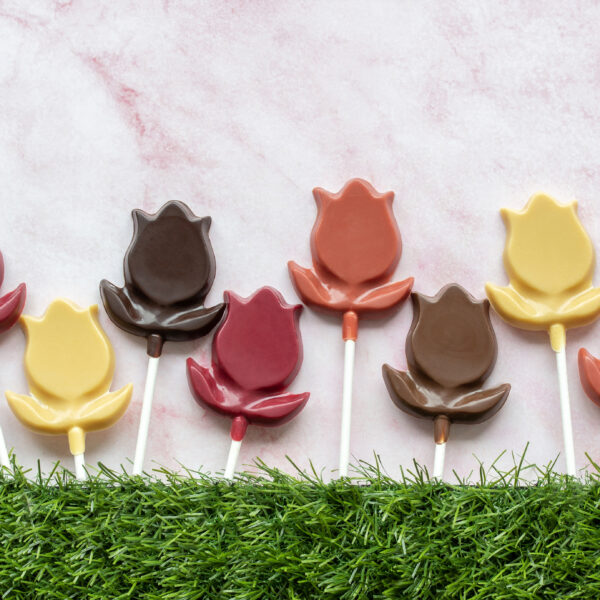 Sucette Tulipe aux fruits intense