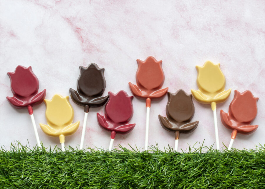 Sucette Tulipe aux fruits intense